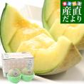 山形県 JAそでうら アンデスメロン 優品以上 大玉3Lサイズ 約2.5キロ（2玉入り） 送料無料 メロン めろん ギフト 夏ギフト お中元 御中元