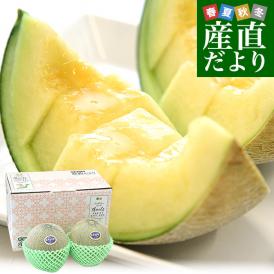 山形県 JAそでうら アンデスメロン 優品以上 大玉3Lサイズ 約2.5キロ（2玉入り） 送料無料 メロン めろん 青肉メロン