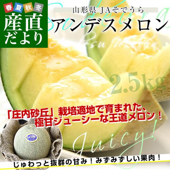 山形県 JAそでうら アンデスメロン 優品以上 大玉3Lサイズ 約2.5キロ（2玉入り） 送料無料 メロン めろん ギフト 夏ギフト お中元 御中元02