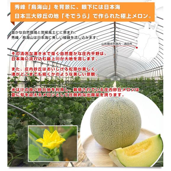 山形県 JAそでうら アンデスメロン 優品以上 大玉3Lサイズ 約2.5キロ（2玉入り） 送料無料 メロン めろん ギフト 夏ギフト お中元 御中元05