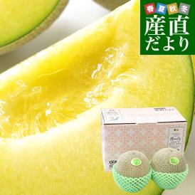 山形県 JAそでうら パンナメロン 優品以上 大玉3Lサイズ 約2.5キロ（2玉入り）送料無料 メロン めろん 青肉メロン