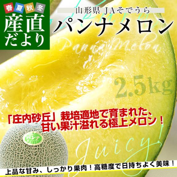 山形県産 JAそでうら パンナメロン 優品以上 大玉3Lサイズ 約2.5キロ（2玉入り）送料無料 メロン めろん  ギフト 夏ギフト お中元 御中元02