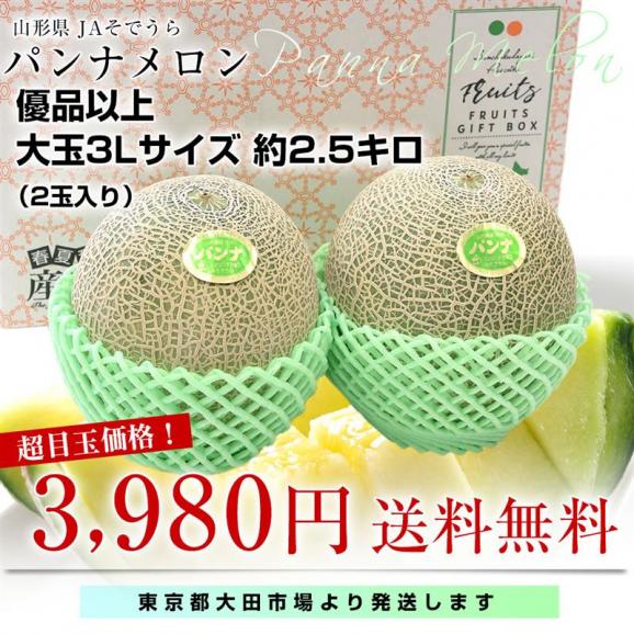 山形県産 JAそでうら パンナメロン 優品以上 大玉3Lサイズ 約2.5キロ（2玉入り）送料無料 メロン めろん  ギフト 夏ギフト お中元 御中元03