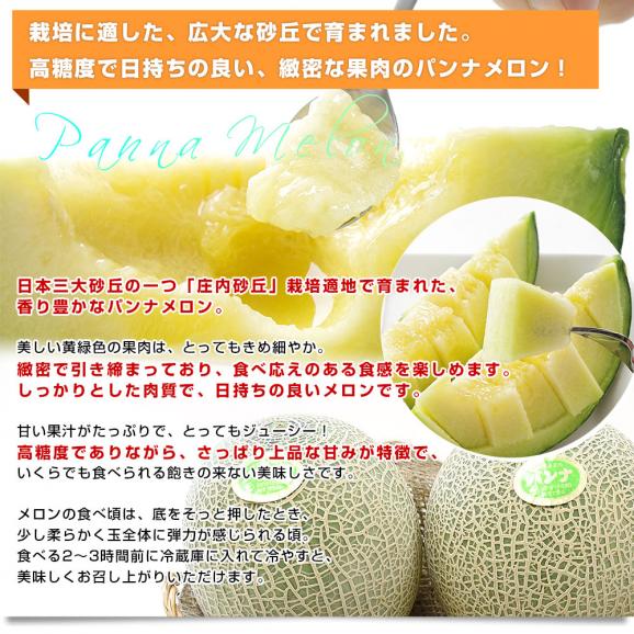 山形県産 JAそでうら パンナメロン 優品以上 大玉3Lサイズ 約2.5キロ（2玉入り）送料無料 メロン めろん  ギフト 夏ギフト お中元 御中元04