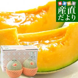 山形県 JAそでうら クインシーメロン 優品以上 大玉3Lサイズ 約2.5キロ（2玉入り） 送料無料 メロン めろん 赤肉メロン