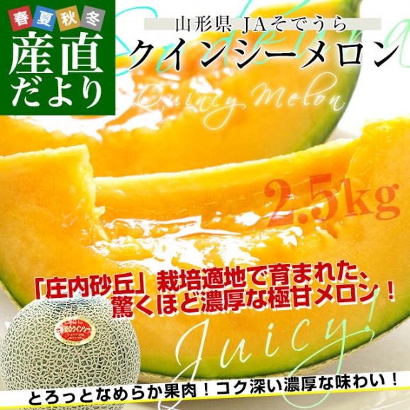 山形県産 JAそでうら クインシーメロン 優品以上 大玉3Lサイズ 約2.5キロ（2玉入り） 送料無料 メロン めろん 赤肉メロン02