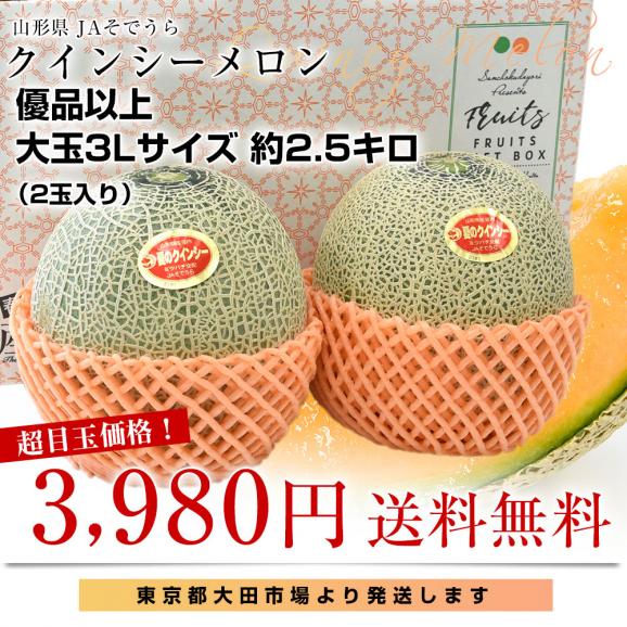 山形県産 JAそでうら クインシーメロン 優品以上 大玉3Lサイズ 約2.5キロ（2玉入り） 送料無料 メロン めろん 赤肉メロン03