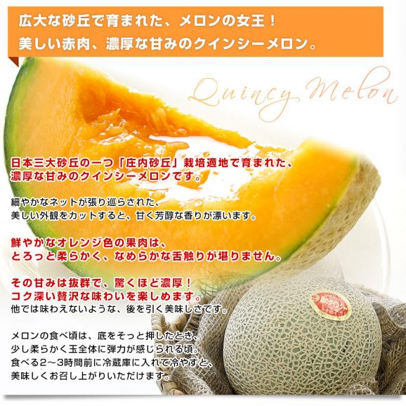 山形県産 JAそでうら クインシーメロン 優品以上 大玉3Lサイズ 約2.5キロ（2玉入り） 送料無料 メロン めろん 赤肉メロン04