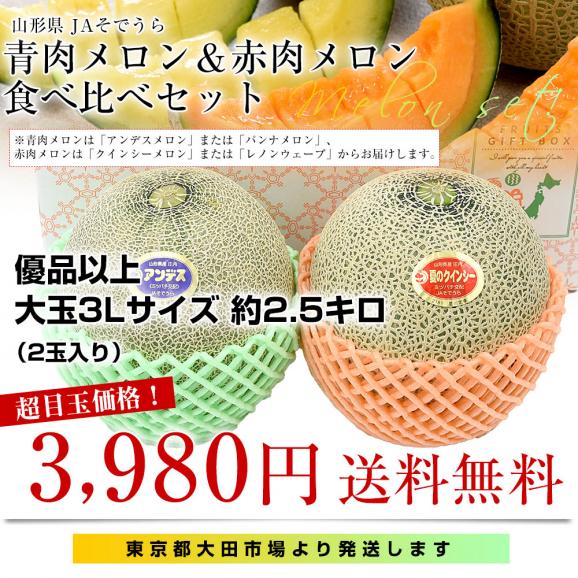 山形県産 JAそでうら 青肉メロン＆赤肉メロン 食べ比べセット 優品以上 大玉3Lサイズ 約2.5キロ（2玉入り） 送料無料 ギフト 夏ギフト お中元 御中元03