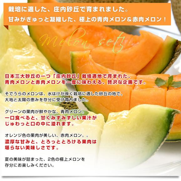 山形県産 JAそでうら 青肉メロン＆赤肉メロン 食べ比べセット 優品以上 大玉3Lサイズ 約2.5キロ（2玉入り） 送料無料 ギフト 夏ギフト お中元 御中元04