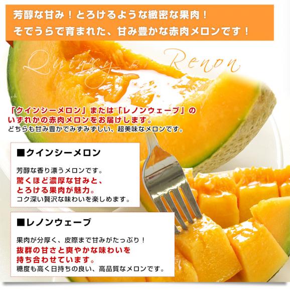 山形県産 JAそでうら 青肉メロン＆赤肉メロン 食べ比べセット 優品以上 大玉3Lサイズ 約2.5キロ（2玉入り） 送料無料 ギフト 夏ギフト お中元 御中元06