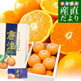 佐賀県 JAからつ ハウスみかん 化粧箱 MからSサイズ 約1.2キロ （12玉から15玉前後） 送料無料 蜜柑 ミカン 温室みかん