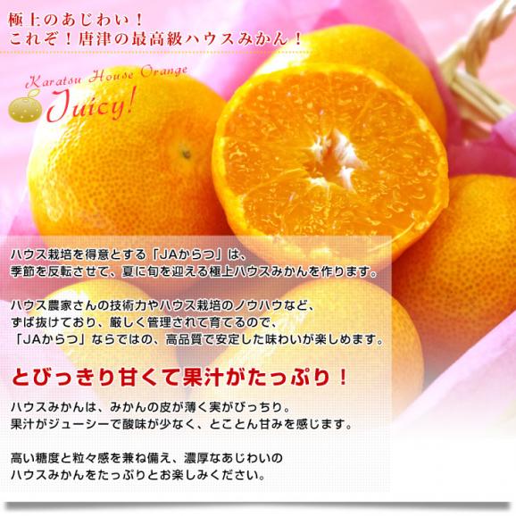佐賀県 JAからつ ハウスみかん 化粧箱 MからSサイズ 約1.2キロ （12玉から15玉前後） 送料無料 蜜柑 ミカン 温室みかん04