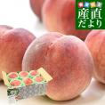 山梨県産 JAフルーツ山梨 春日居支所 春日居の桃 青秀品 約1.8キロ(6玉) 送料無料 もも モモ ピーチ ギフト 夏ギフト お中元 御中元