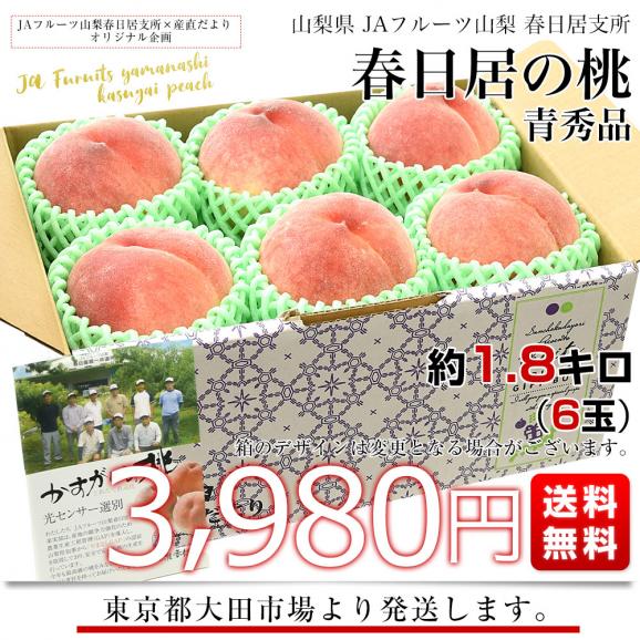 山梨県産 JAフルーツ山梨 春日居支所 春日居の桃 青秀品 約1.8キロ(6玉) 送料無料 もも モモ ピーチ ギフト 夏ギフト お中元 御中元03