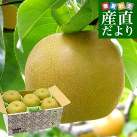 福岡県 JAふくおか八女 「ふくおか八女の梨」(品種：豊水） 大玉 約2.5キロ（5玉入り）送料無料 梨 なし 大玉梨