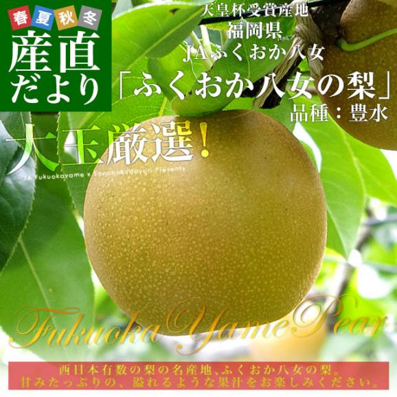 福岡県 JAふくおか八女 「ふくおか八女の梨」(品種：豊水） 大玉 約2.5キロ（5玉入り）送料無料 梨 なし 大玉梨02