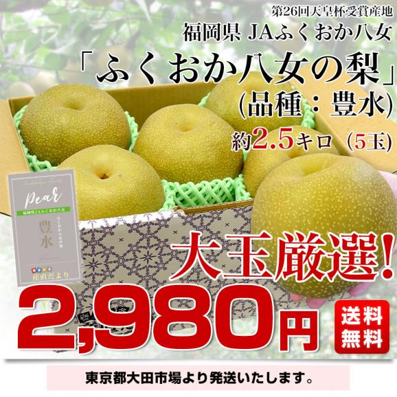 福岡県 JAふくおか八女 「ふくおか八女の梨」(品種：豊水） 大玉 約2.5キロ（5玉入り）送料無料 梨 なし 大玉梨03