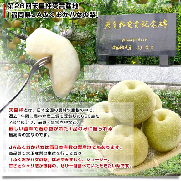 福岡県 JAふくおか八女 「ふくおか八女の梨」(品種：豊水） 大玉 約2.5キロ（5玉入り）送料無料 梨 なし 大玉梨04