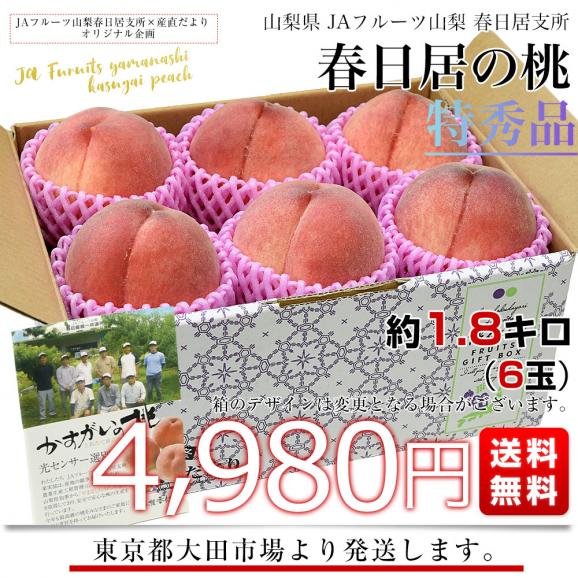 山梨県産 JAフルーツ山梨 春日居支所 春日居の桃 特秀品 約1.8キロ(6玉) 送料無料 もも モモ ピーチ ギフト 夏ギフト お中元 御中元03