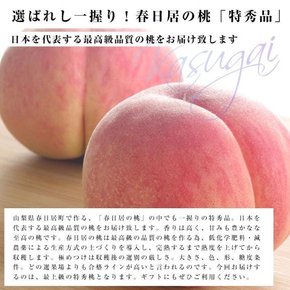 山梨県産 JAフルーツ山梨 春日居支所 春日居の桃 特秀品 約1.8キロ(6玉) 送料無料 もも モモ ピーチ ギフト 夏ギフト お中元 御中元04