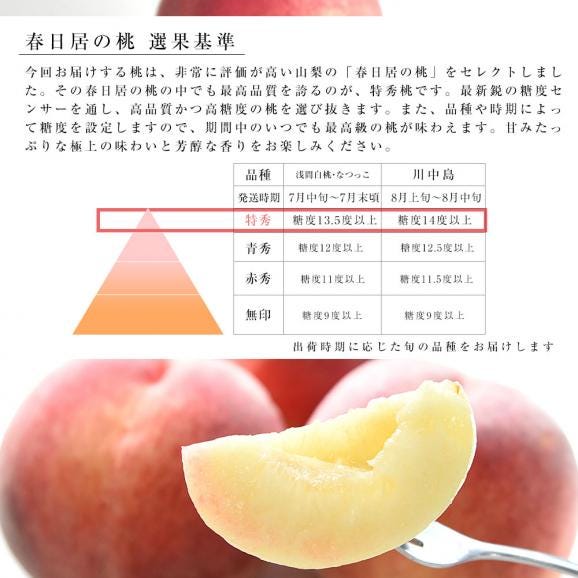 山梨県産 JAフルーツ山梨 春日居支所 春日居の桃 特秀品 約1.8キロ(6玉) 送料無料 もも モモ ピーチ ギフト 夏ギフト お中元 御中元05