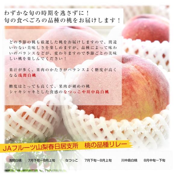 山梨県産 JAフルーツ山梨 春日居支所 春日居の桃 特秀品 約1.8キロ(6玉) 送料無料 もも モモ ピーチ ギフト 夏ギフト お中元 御中元06