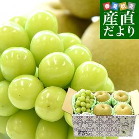 山梨県 JAフルーツ山梨「シャインマスカット」1房(450g以上) ＆栃木県産「梨(品種：豊水またはあきづき梨)」4玉(合計約1.2キロ)セット 送料無料 クール便