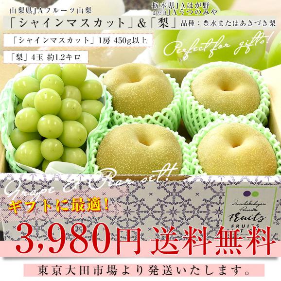 山梨県 JAフルーツ山梨「シャインマスカット」1房(450g以上) ＆栃木県産「梨(品種：豊水またはあきづき梨)」4玉(合計約1.2キロ)セット 送料無料 クール便03
