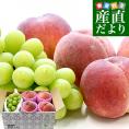 山梨県 JAフルーツ山梨 フルーツセット 春日居の桃 特秀品 4玉 (約1.2キロ) ＆高級ハウスシャインマスカット 秀品 1房 450g以上 送料無料 お中元 夏ギフト