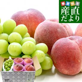 山梨県 JAフルーツ山梨 フルーツセット 春日居の桃 特秀品 4玉 (約1.2キロ) ＆高級ハウスシャインマスカット 秀品 1房 450g以上 送料無料 お中元 夏ギフト