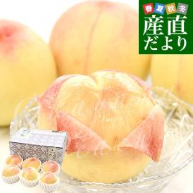 岡山県 JA全農おかやま 岡山白桃 等級：エース 約1.8キロ（6玉）送料無料 もも モモ はくとう ピーチ