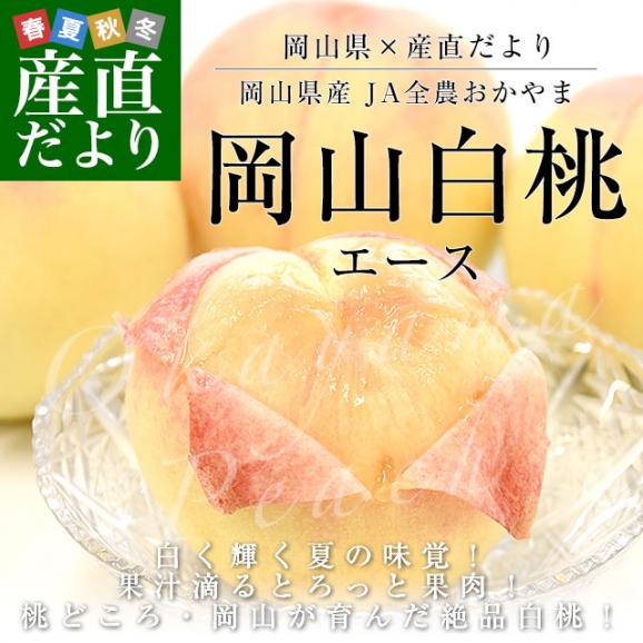 岡山県 JA全農おかやま 岡山白桃 等級：エース 約1.7キロ（6玉）送料無料 もも モモ はくとう ピーチ02