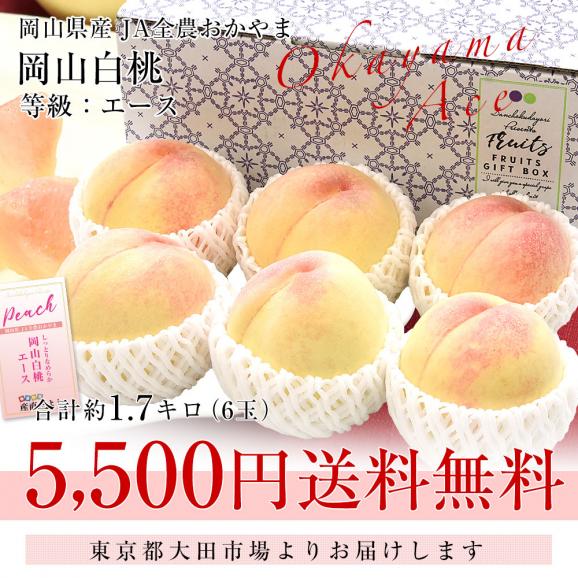 岡山県 JA全農おかやま 岡山白桃 等級：エース 約1.7キロ（6玉）送料無料 もも モモ はくとう ピーチ03