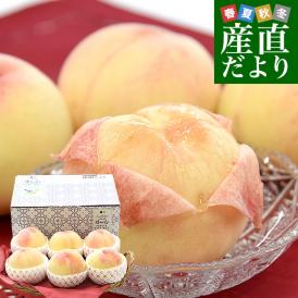 岡山県 JA全農おかやま 岡山白桃 等級：ロイヤル 約1.8キロ（6玉）送料無料 もも モモ はくとう ピーチ