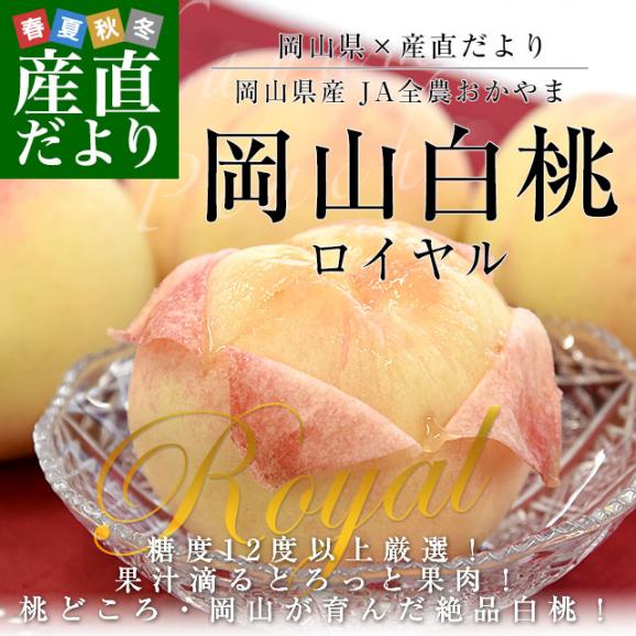 岡山県 JA全農おかやま 岡山白桃 等級：ロイヤル 約1.7キロ（6玉）送料無料 もも モモ はくとう ピーチ ギフト 夏ギフト お中元 御中元02