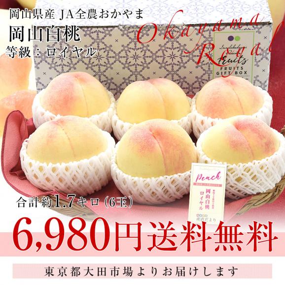 岡山県 JA全農おかやま 岡山白桃 等級：ロイヤル 約1.7キロ（6玉）送料無料 もも モモ はくとう ピーチ ギフト 夏ギフト お中元 御中元03