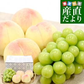 岡山県 JA全農おかやま フルーツセット 岡山白桃 ロイヤル 4玉 (合計約1.2キロ) ＆高級ハウス栽培 シャインマスカット晴王 青秀品 1房（約600g）送料無料 夏ギフト