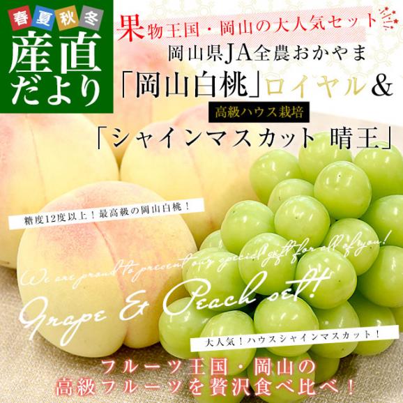 岡山県 JA全農おかやま フルーツセット 岡山白桃 ロイヤル 4玉 (合計約1.2キロ) ＆高級ハウス栽培 シャインマスカット晴王 青秀品 1房（約600g）送料無料 夏ギフト02