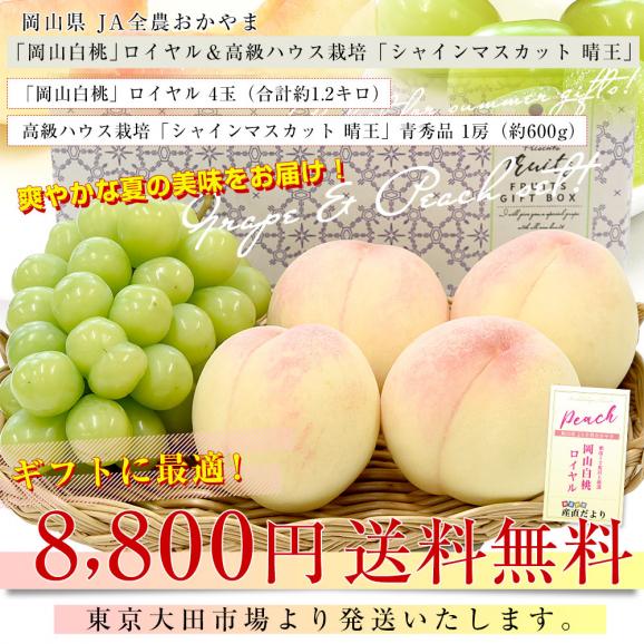 岡山県 JA全農おかやま フルーツセット 岡山白桃 ロイヤル 4玉 (合計約1.2キロ) ＆高級ハウス栽培 シャインマスカット晴王 青秀品 1房（約600g）送料無料 夏ギフト03