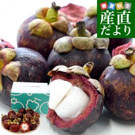 タイ産 マンゴスチン 合計約950g(15玉前後入り) 送料無料 クール便 果実の女王 世界三大美果物 トロピカルフルーツ まんごすちん