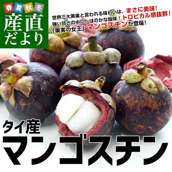 タイ産 マンゴスチン 合計約950g(15玉前後入り) 送料無料 クール