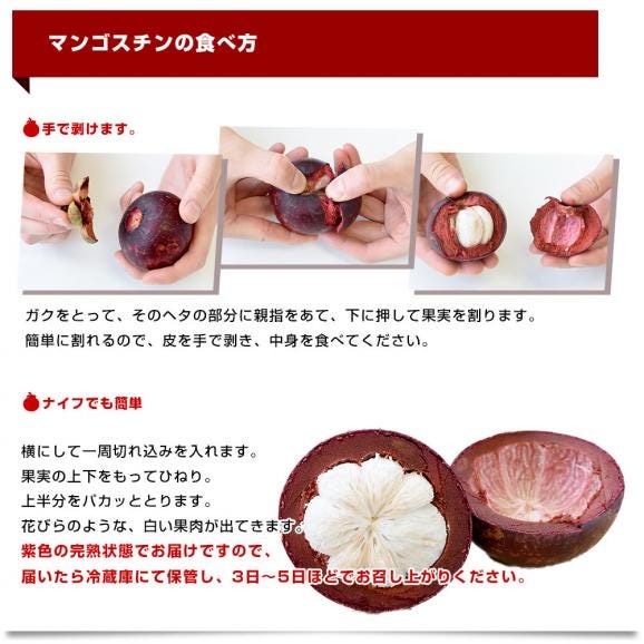 タイ産 マンゴスチン 合計約950g(15玉前後入り) 送料無料 クール便 果実の女王 世界三大美果物 トロピカルフルーツ まんごすちん06