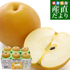 【遅れてごめんね敬老の日ギフト】栃木県産 「梨」品種：豊水またはあきづき梨 優品以上 約1.8キロ(6玉入り) 送料無料 なし ナシ 敬老の日ギフト