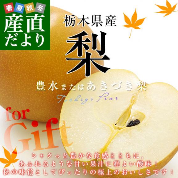 【遅れてごめんね敬老の日ギフト】栃木県産 「梨」品種：豊水またはあきづき梨 優品以上 約1.8キロ(6玉入り) 送料無料 なし ナシ 敬老の日ギフト02