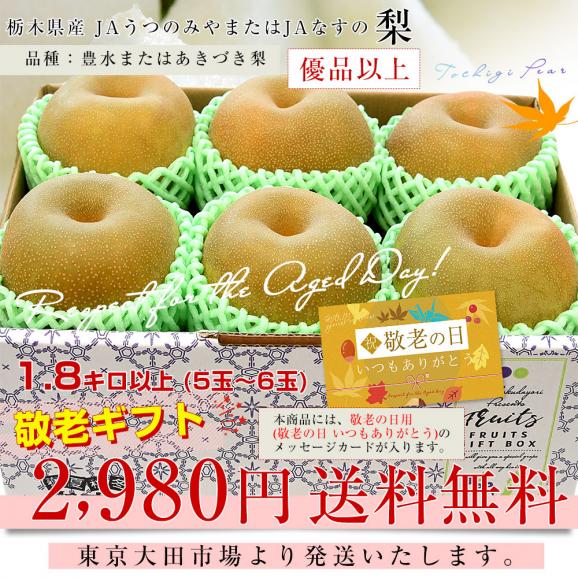 【敬老の日】栃木県産 「梨」品種：豊水またはあきづき梨 優品 1.8キロ以上 (5玉から6玉入り) 送料無料 なし ナシ 敬老の日ギフト03