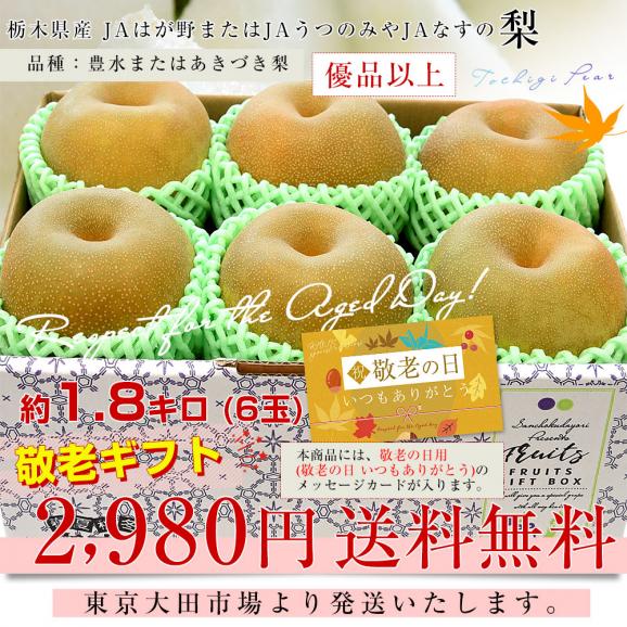 【遅れてごめんね敬老の日ギフト】栃木県産 「梨」品種：豊水またはあきづき梨 優品以上 約1.8キロ(6玉入り) 送料無料 なし ナシ 敬老の日ギフト03
