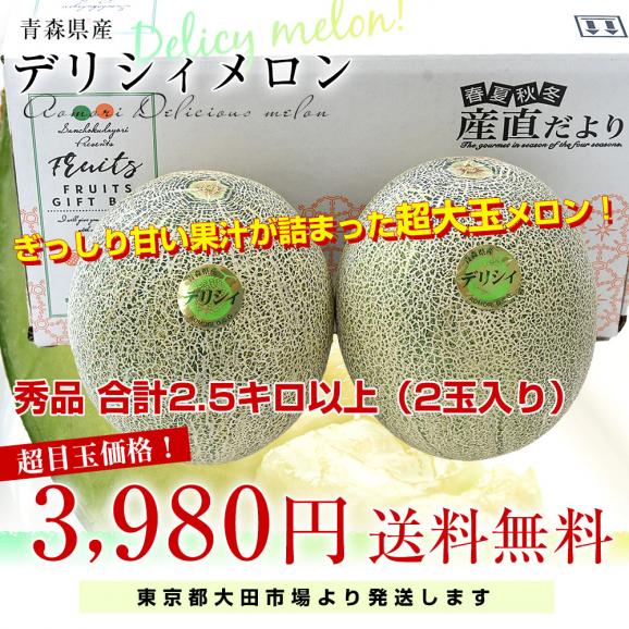 青森県産 五所川原地区 大玉 デリシィメロン 秀品 合計2.5キロ以上（2玉入り）送料無料 メロン めろん03