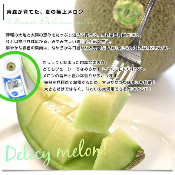 青森県産 五所川原地区 大玉青肉メロン（品種：デリシィ、キスロマン他）秀品 合計3キロ以上（2玉入り）送料無料 メロン めろん04