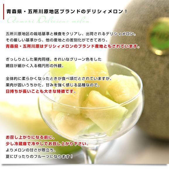 青森県産 五所川原地区 大玉 デリシィメロン 秀品 合計2.5キロ以上（2玉入り）送料無料 メロン めろん05